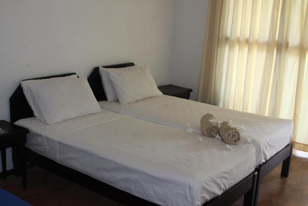 Ceylonica Beach Hotel Negombo Eksteriør billede