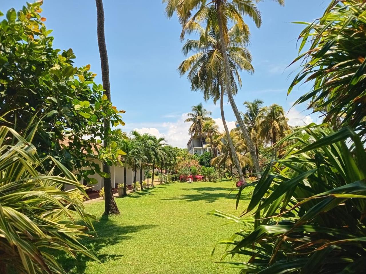 Ceylonica Beach Hotel Negombo Eksteriør billede