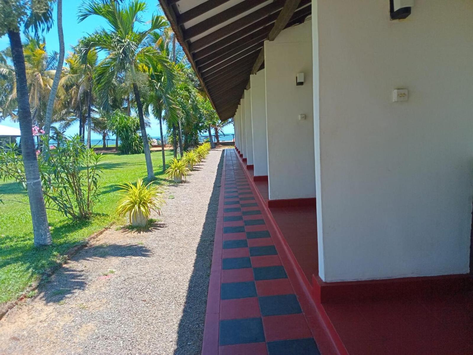 Ceylonica Beach Hotel Negombo Eksteriør billede