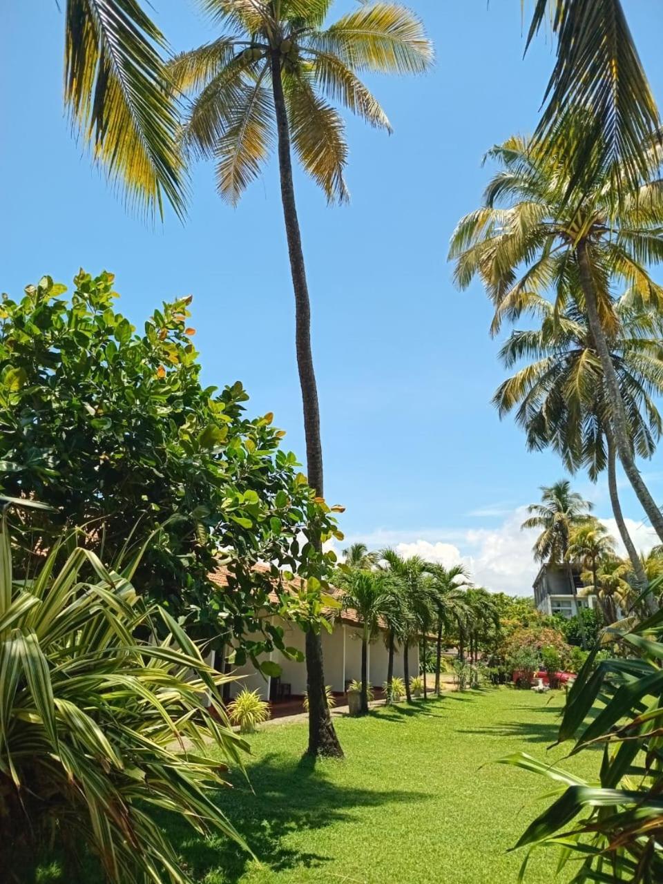 Ceylonica Beach Hotel Negombo Eksteriør billede